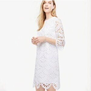 Ann Taylor Scallop Eyelet Shift Dress White Size 6